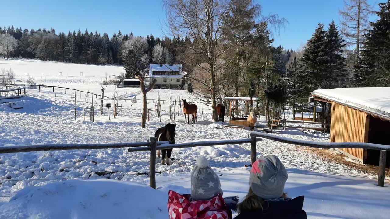 "Sporthuetten Nassau" Ihr Zentrales Domizil An Der Blockline Rechenberg-Bienenmuhle ภายนอก รูปภาพ